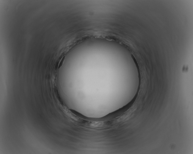 X0000093400720200710120856