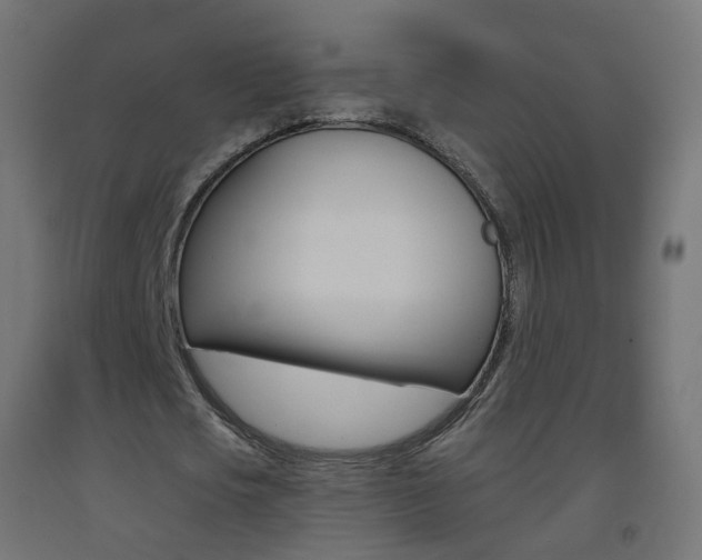 X0000093400721200710120855