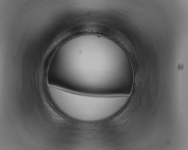 X0000093400722200710120855