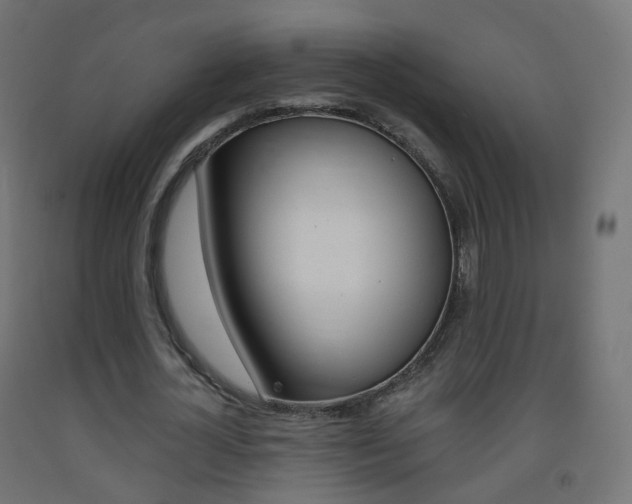X0000093400724200710120855