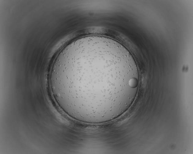 X0000093400725200710120855