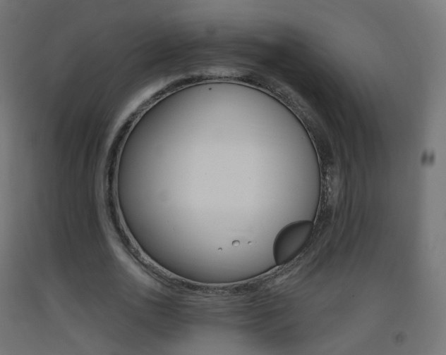 X0000093400726200710120855