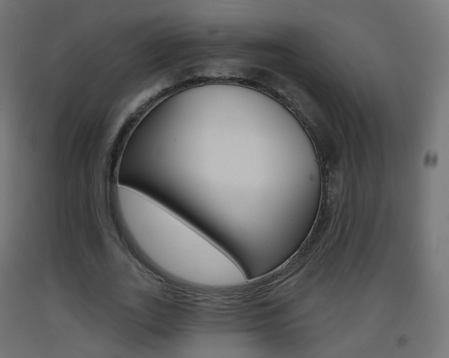 X0000093400727200710120855