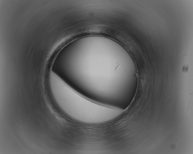X0000093400728200710120855