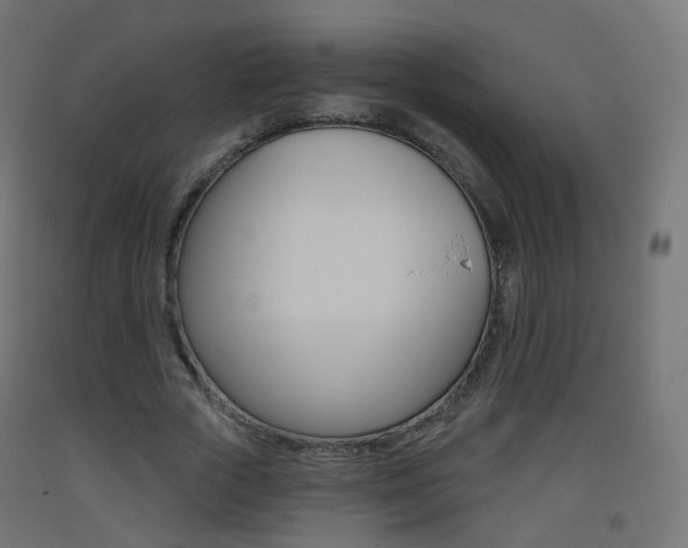 X0000093400729200710120855