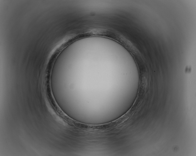 X0000093400730200710120855