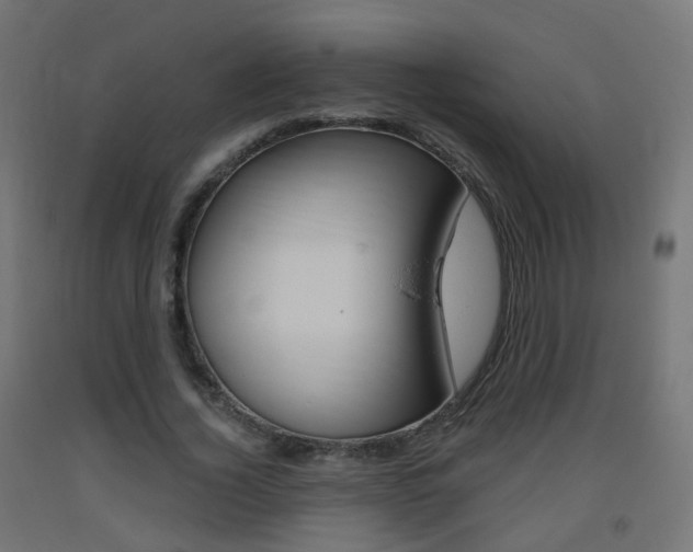 X0000093400732200710120855