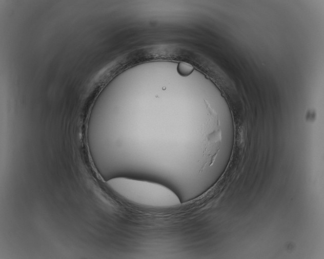 X0000093400733200710120855