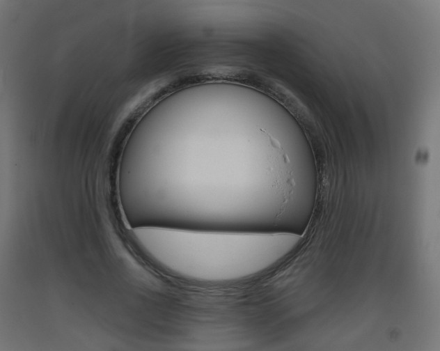 X0000093400734200710120855