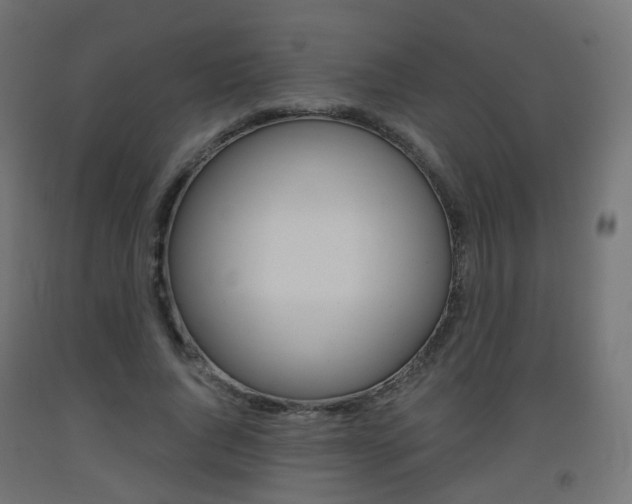 X0000093400736200710120855