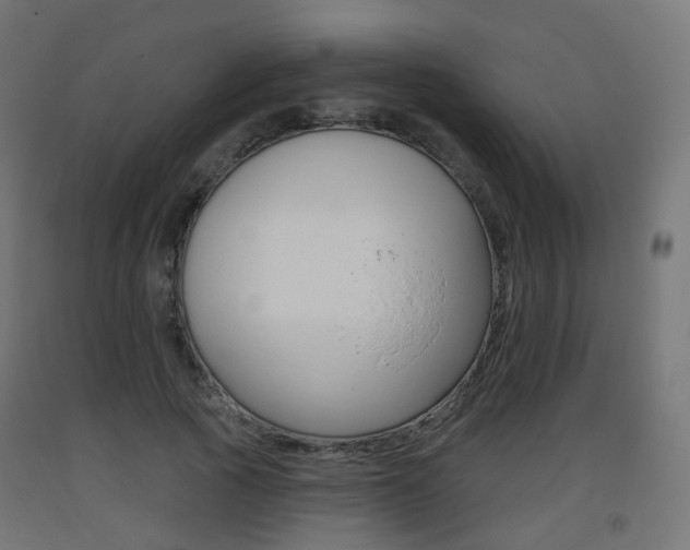 X0000093400737200710120855