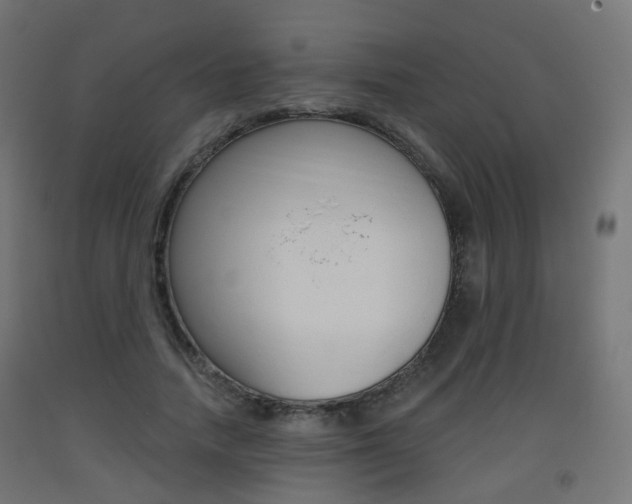 X0000093400738200710120855