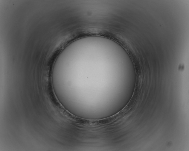 X0000093400739200710120855
