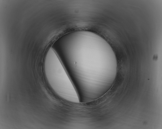 X0000093400742200710120855