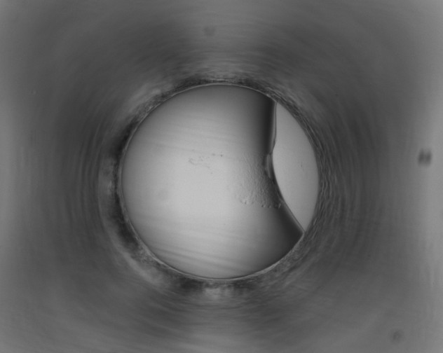 X0000093400744200710120855