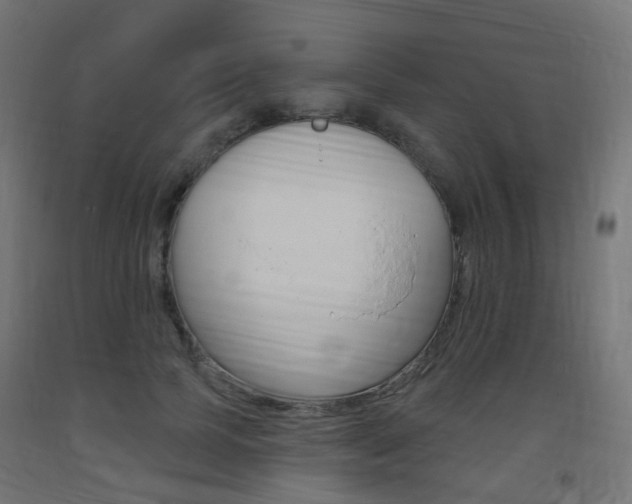 X0000093400745200710120856