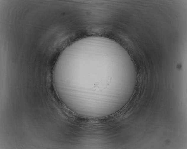 X0000093400749200710120856
