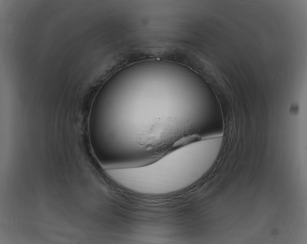 X0000093400750200710120856