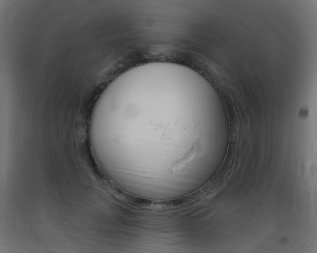 X0000093400751200710120856