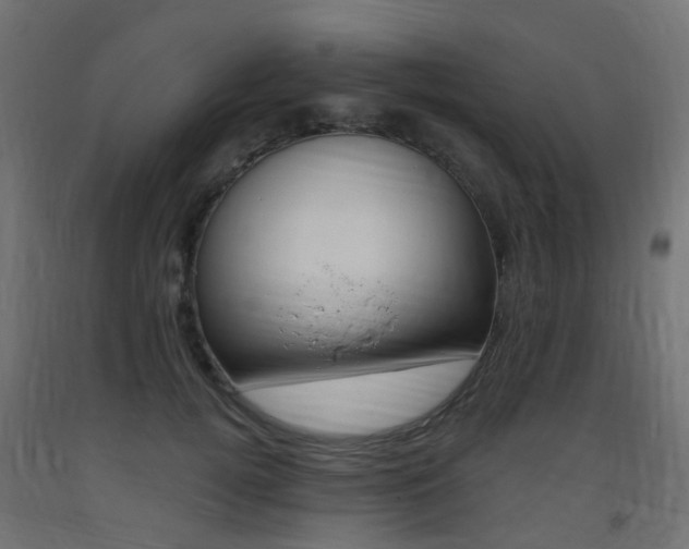 X0000093400752200710120856