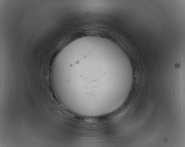 X0000093400753200710120856