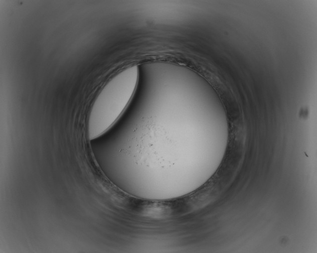 X0000093400754200710120856