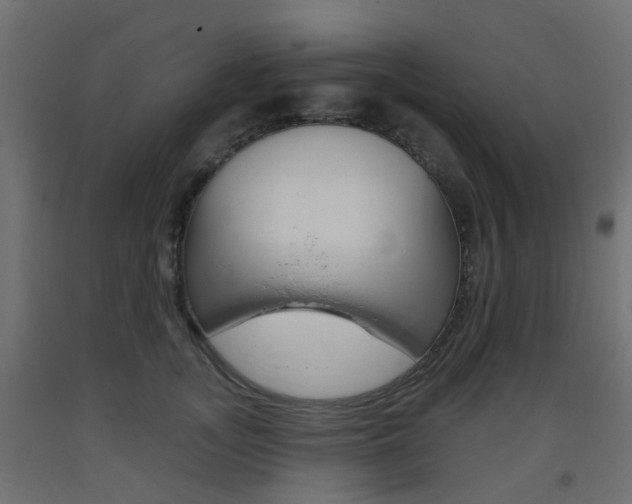X0000093400755200710120856