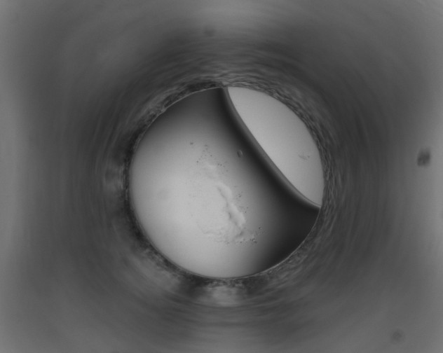 X0000093400756200710120856