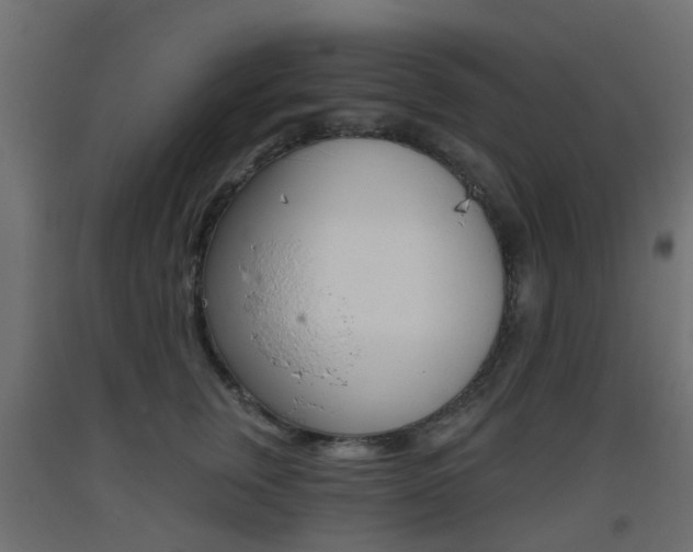 X0000093400759200710120856