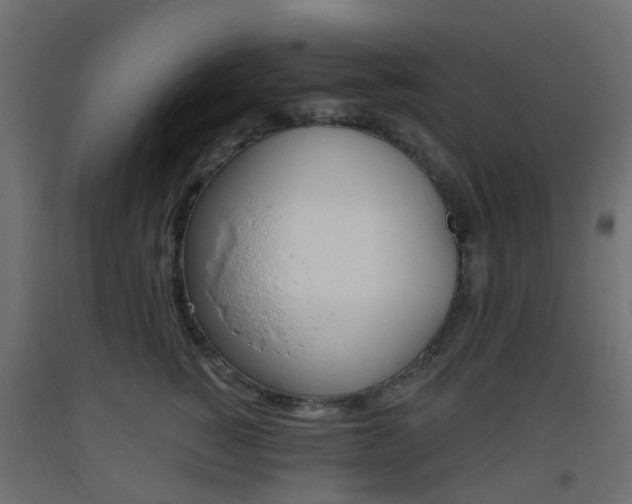 X0000093400760200710120856