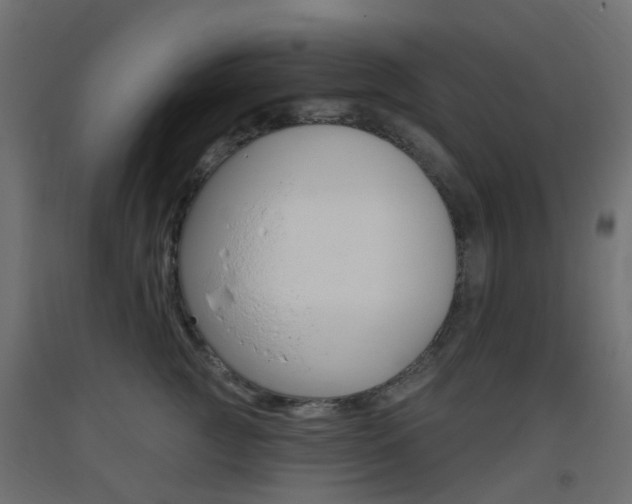 X0000093400761200710120856