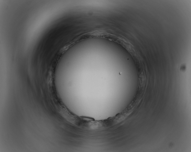 X0000093400762200710120856