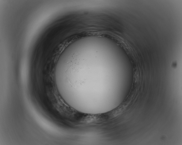X0000093400764200710120856