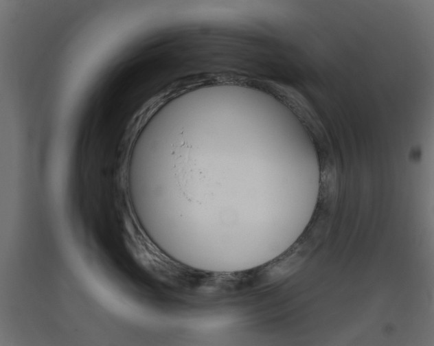 X0000093400765200710120856