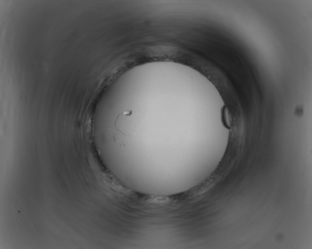 X0000093400767200710120856