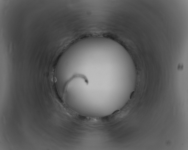 X0000093400768200710120856