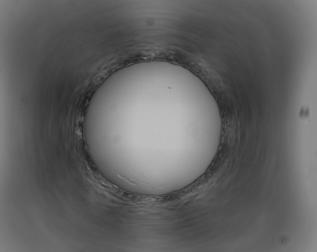 X0000093400770200710120855