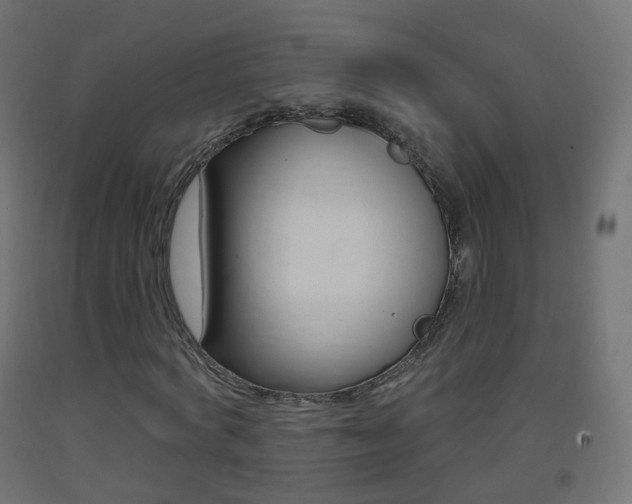 X0000093400772200710120855