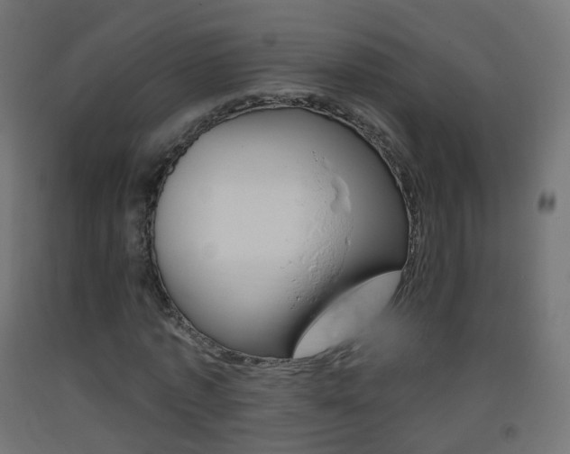 X0000093400773200710120855
