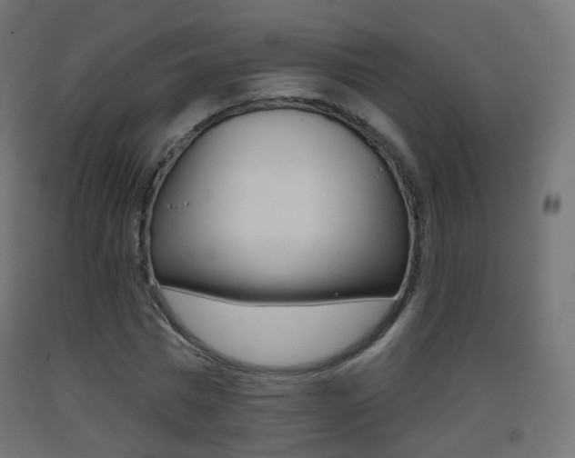 X0000093400777200710120855