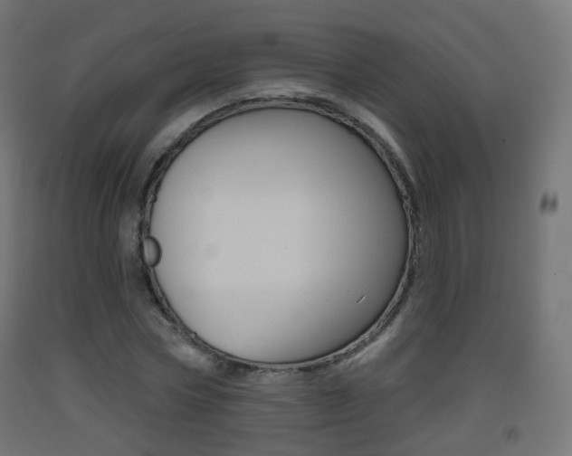 X0000093400778200710120855