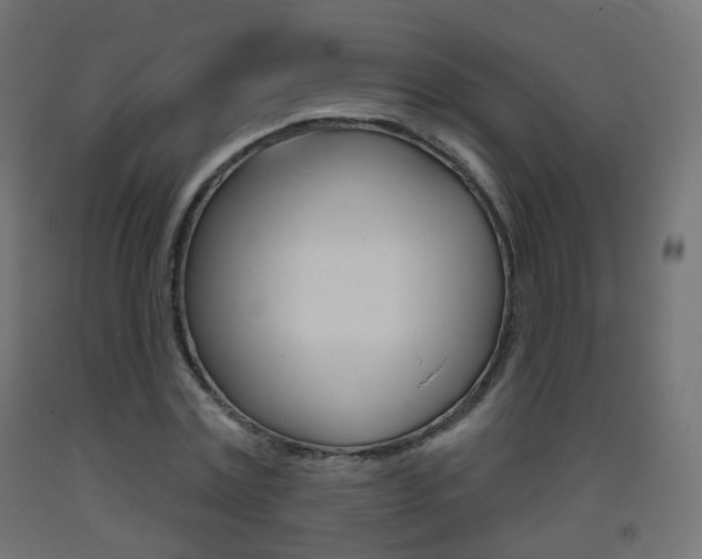 X0000093400779200710120855