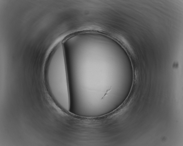 X0000093400780200710120855