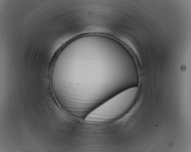 X0000093400781200710120855