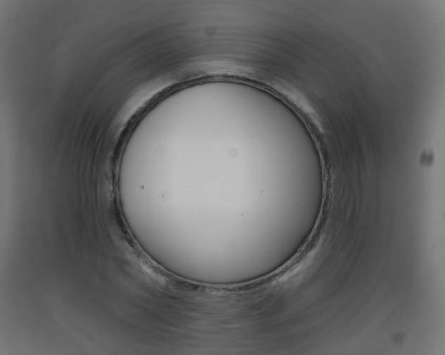 X0000093400782200710120855