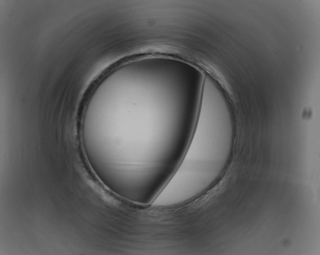 X0000093400784200710120855