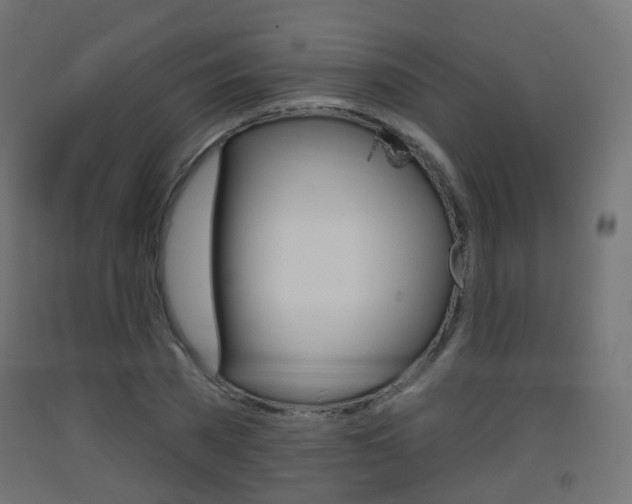 X0000093400785200710120855