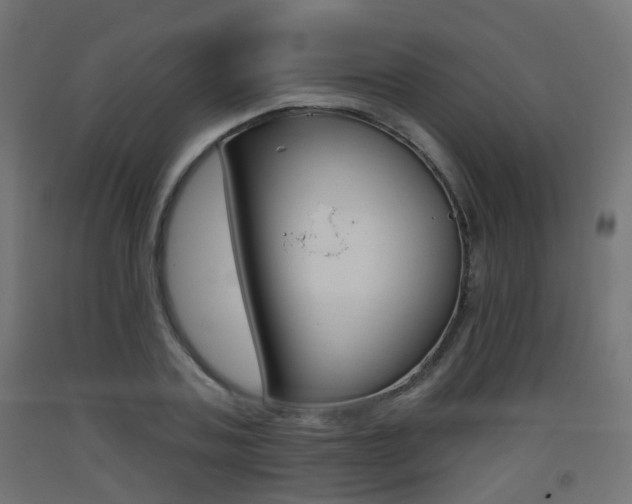 X0000093400787200710120855