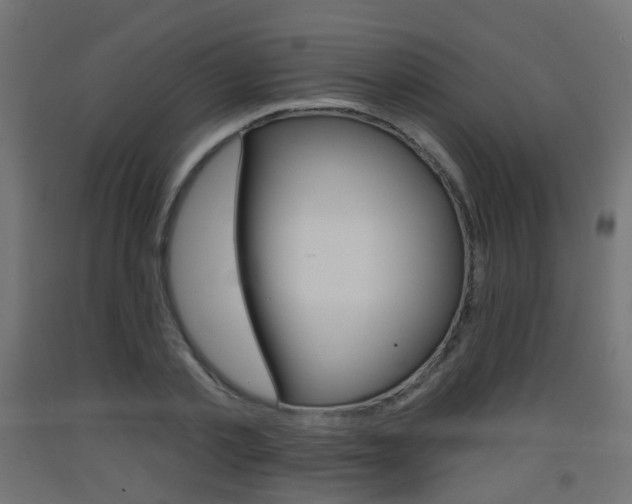 X0000093400789200710120855