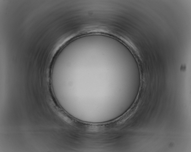 X0000093400790200710120855